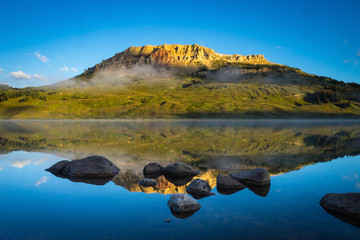 简单的生物问答题 （要答案)答案越短越好