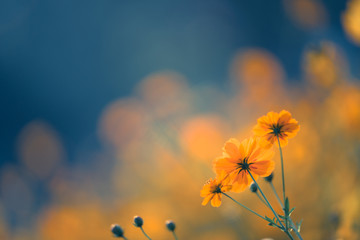 衣服尺码中常用到的XL、2XL、3XL对应的具体身高是多少？