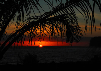 很灵的招桃花的方法 改变桃花运最好的办法