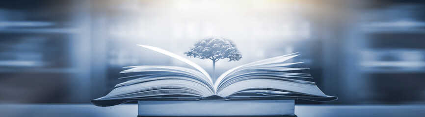 红色基因代代传手抄报内容怎么写