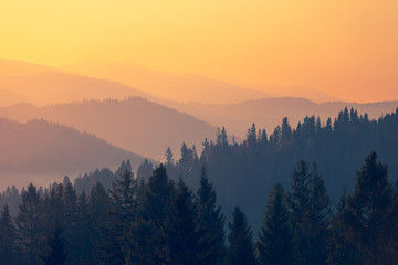 劳动节活动策划总结