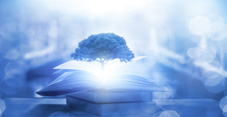 衣服尺码中常用到的XL、2XL、3XL对应的具体身高是多少？