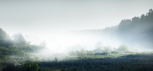 红色基因代代传手抄报内容怎么写