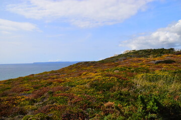 洛阳二外小学一年级开设英语课吗