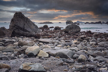红色基因代代传手抄报内容怎么写