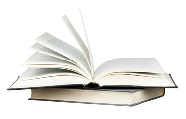 歌词那一天爸爸和妈妈离开了家歌名叫什么