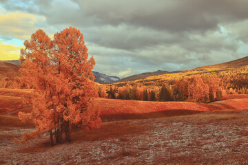 简单的生物问答题 （要答案)答案越短越好