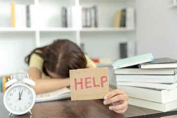 劳动节活动策划总结