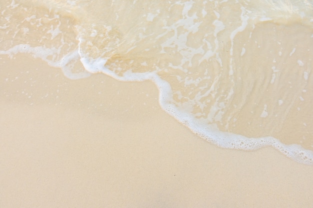 六一儿童节手抄报要写的字