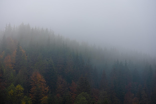 歌词那一天爸爸和妈妈离开了家歌名叫什么