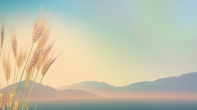 洛阳二外小学一年级开设英语课吗