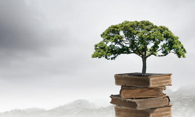 洛阳二外小学一年级开设英语课吗