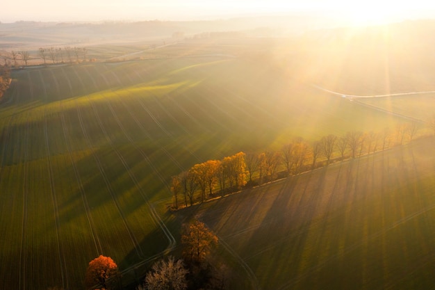 简单的生物问答题 （要答案)答案越短越好