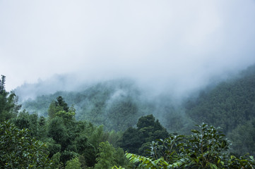 趣味记忆单词的方法介绍